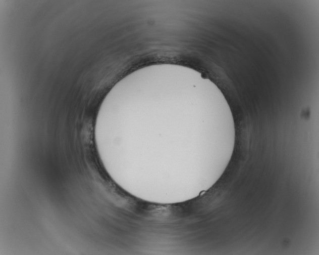 X0000114400083200911131415