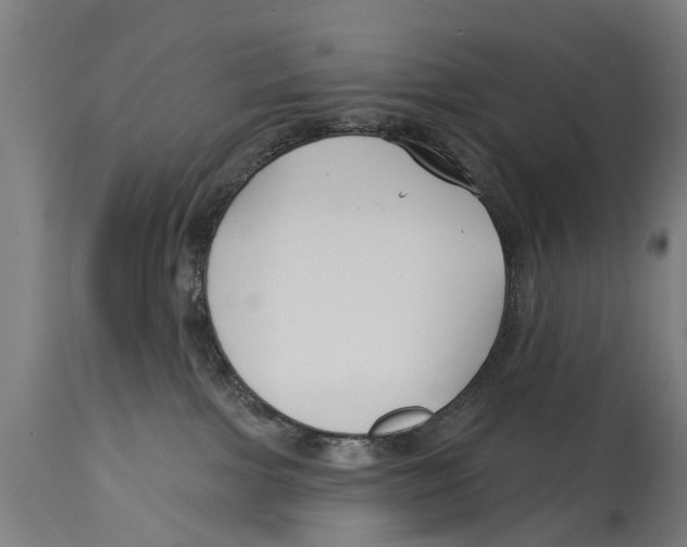 X0000114400091200911131415