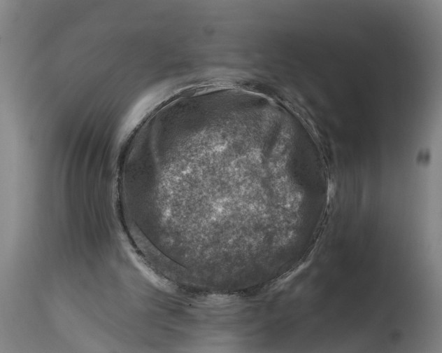 X0000114400101200911131415