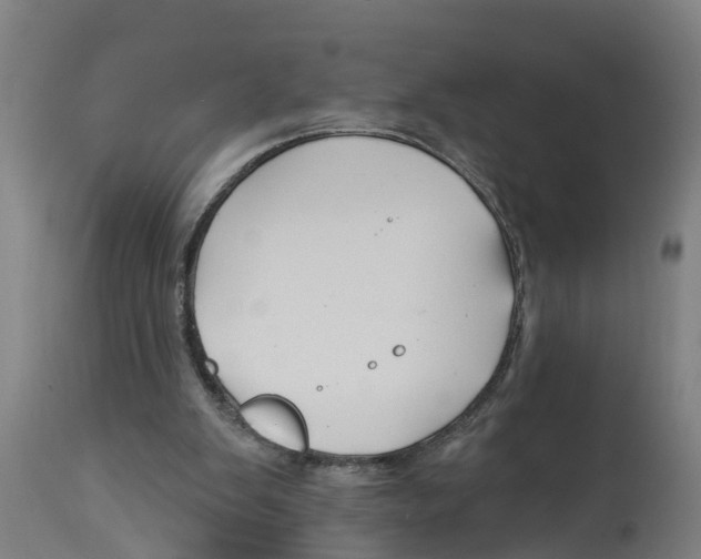 X0000114400103200911131415