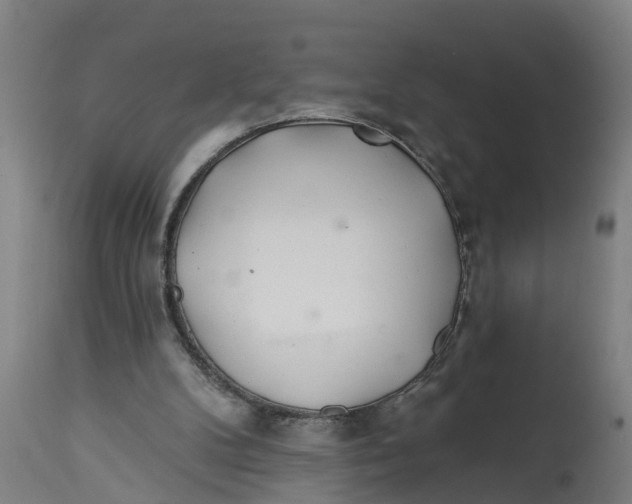 X0000114400104200911131415