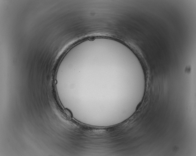 X0000114400108200911131415