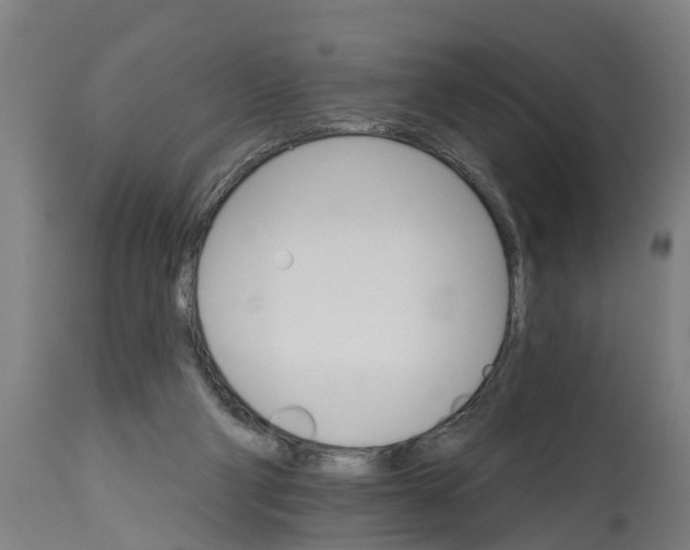 X0000114400114200911131415