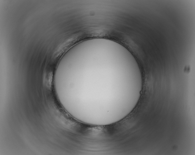 X0000114400118200911131415