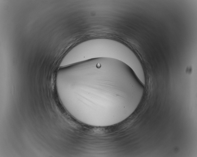 X0000114400121200911131415