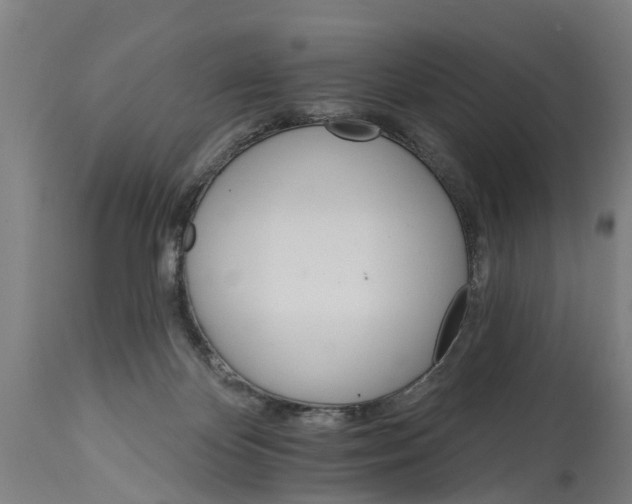 X0000114400124200911131415