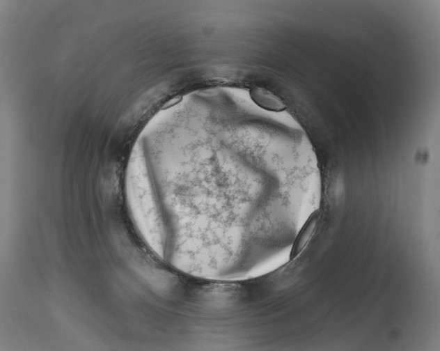 X0000114400128200911131414