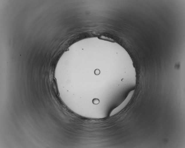 X0000114400129200911131414