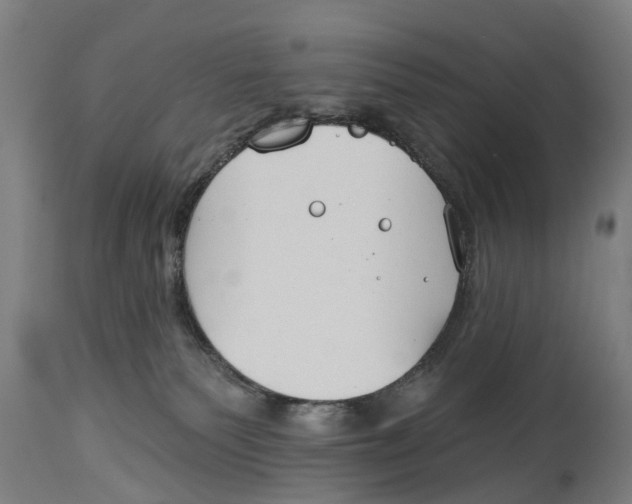 X0000114400135200911131414