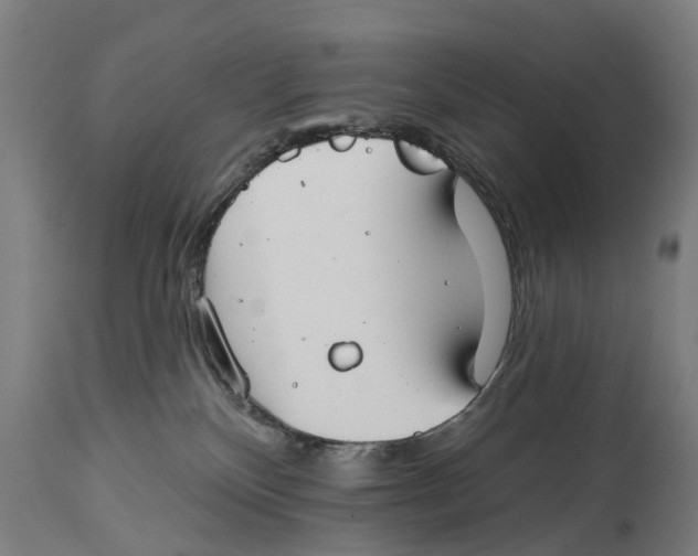 X0000114400136200911131414