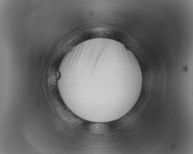 X0000114400137200911131414