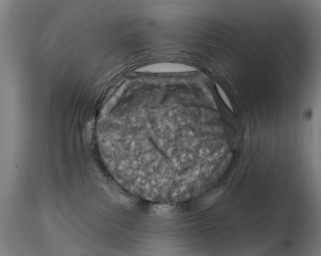 X0000114400139200911131414