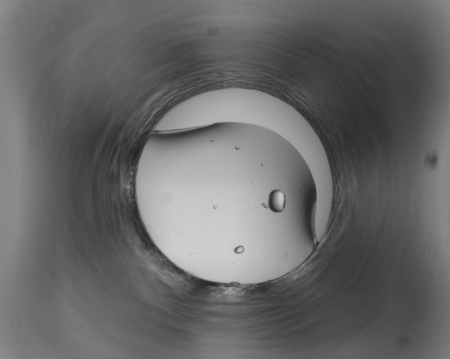 X0000114400140200911131414