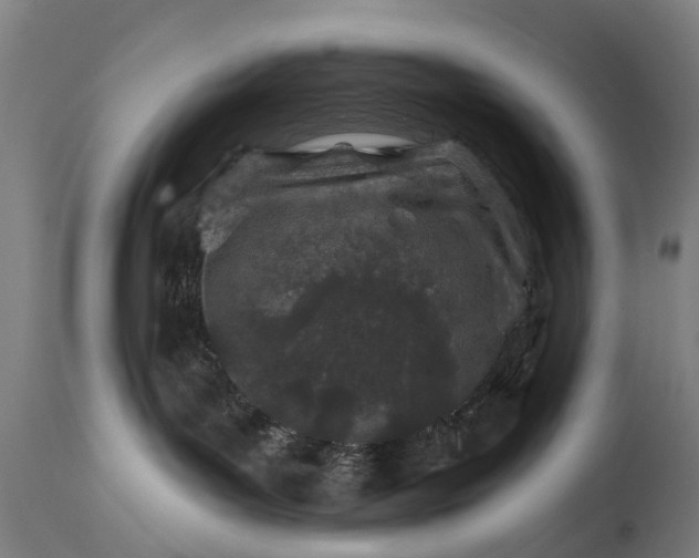 X0000114400143200911131414