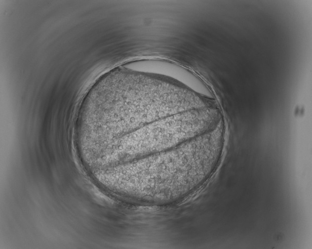 X0000114400145200911131414