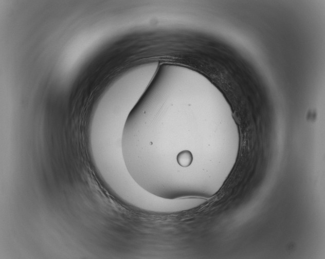 X0000114400146200911131414