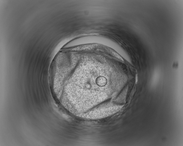 X0000114400147200911131414