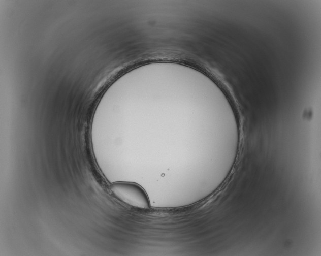 X0000114400154200911131414