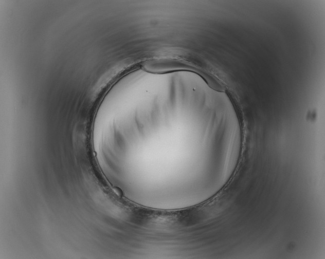 X0000114400155200911131414