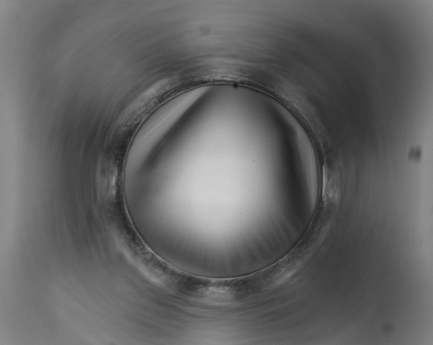 X0000114400157200911131414