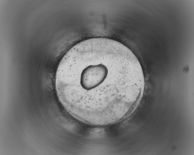 X0000114400162200911131414