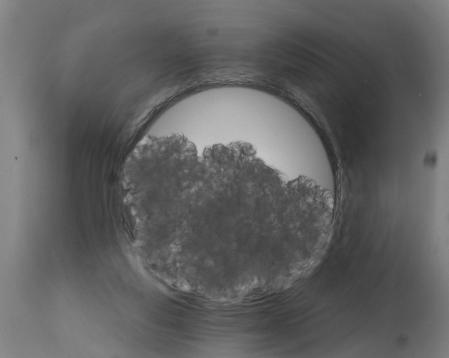 X0000114400163200911131414