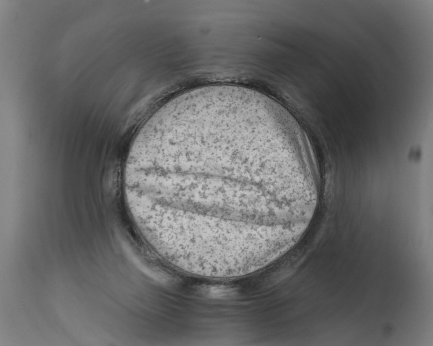 X0000114400165200911131414