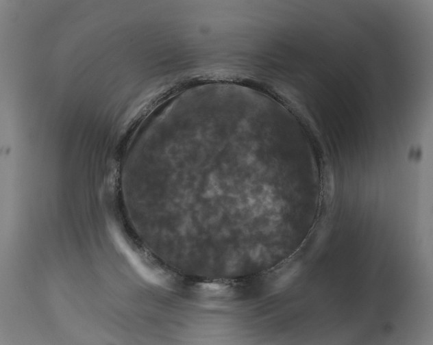 X0000114400167200911131414