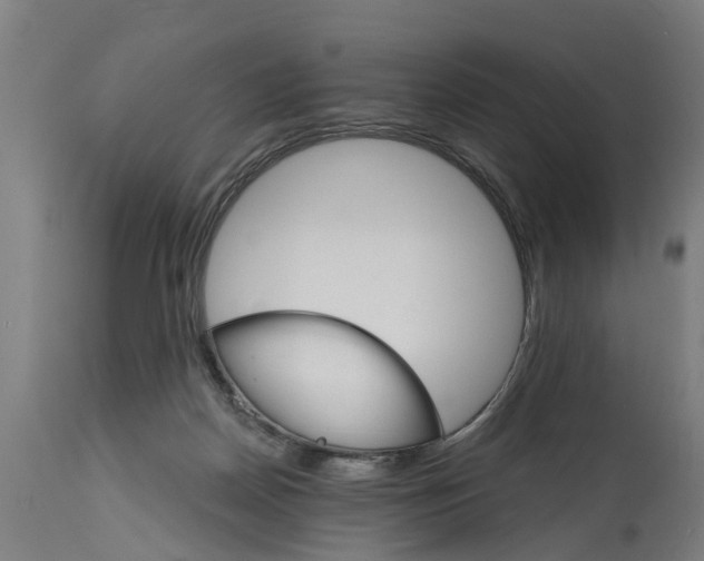 X0000114400170200911131414