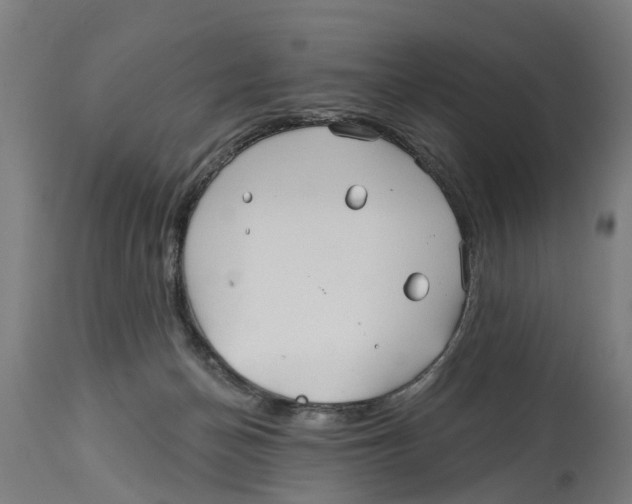 X0000114400174200911131414