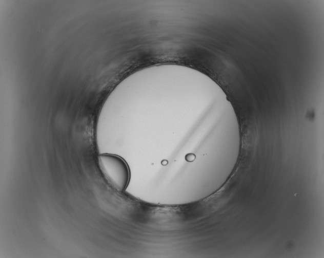 X0000114400179200911131414