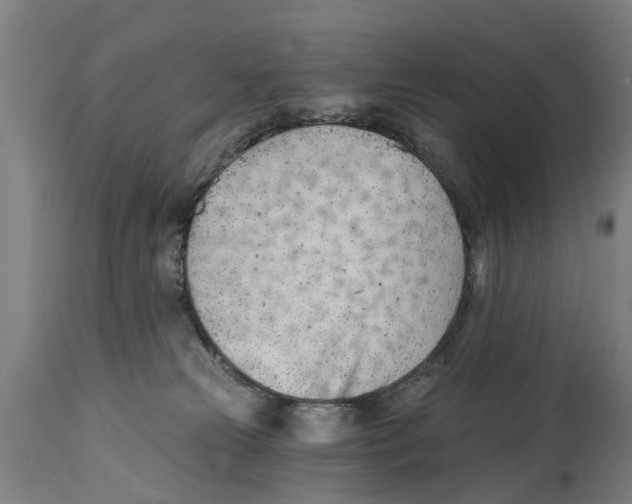 X0000114400181200911131414