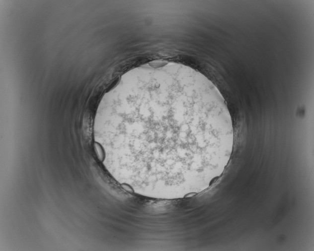 X0000114400186200911131414