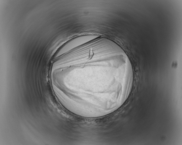 X0000114400194200911131414