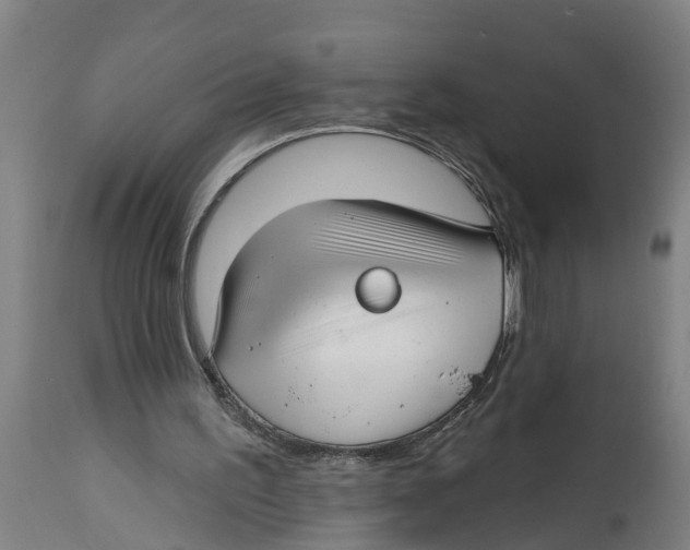 X0000114400195200911131414