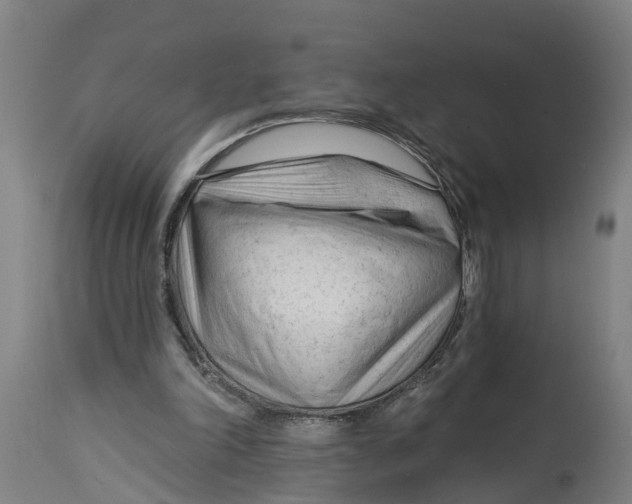 X0000114400198200911131413