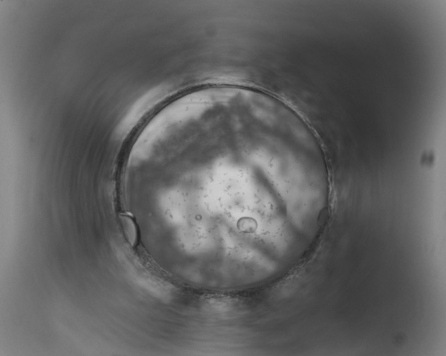 X0000114400199200911131413