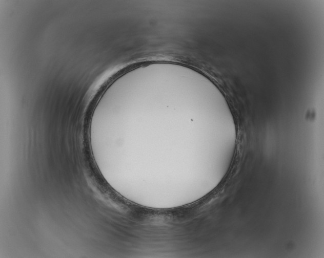 X0000114400200200911131413