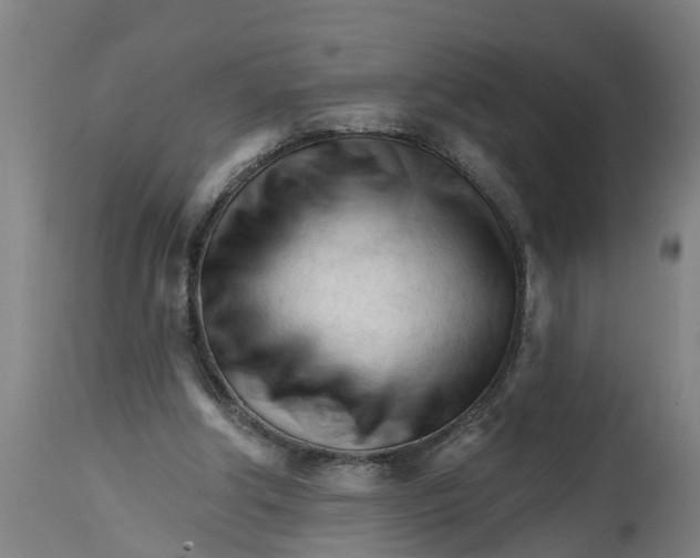 X0000114400202200911131413