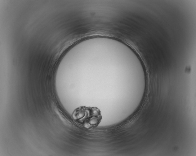 X0000114400205200911131413