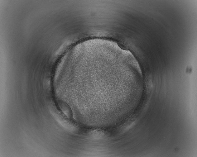 X0000114400207200911131413