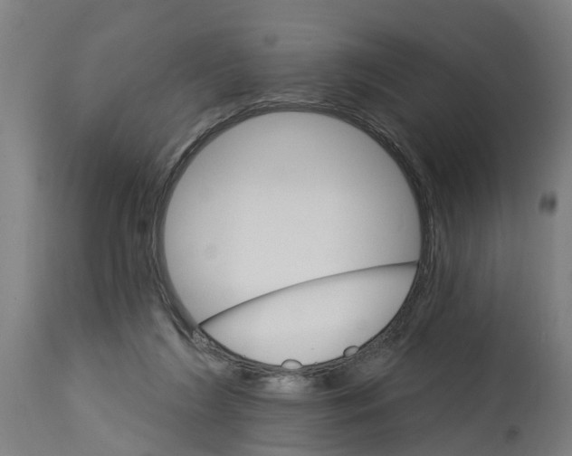 X0000114400212200911131413