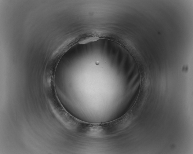 X0000114400214200911131413