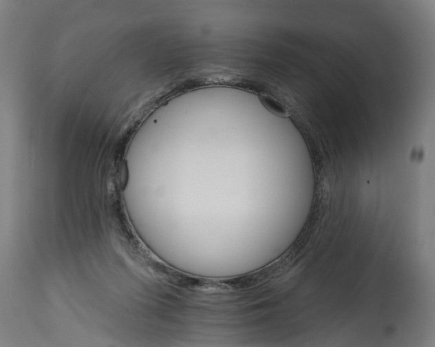 X0000114400215200911131413