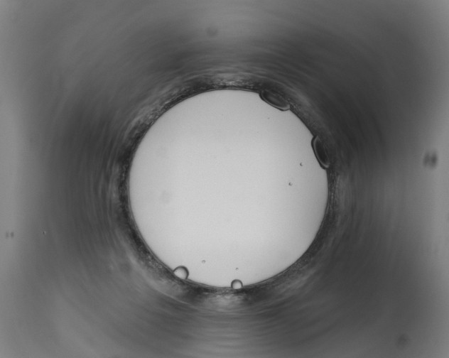 X0000114400217200911131413