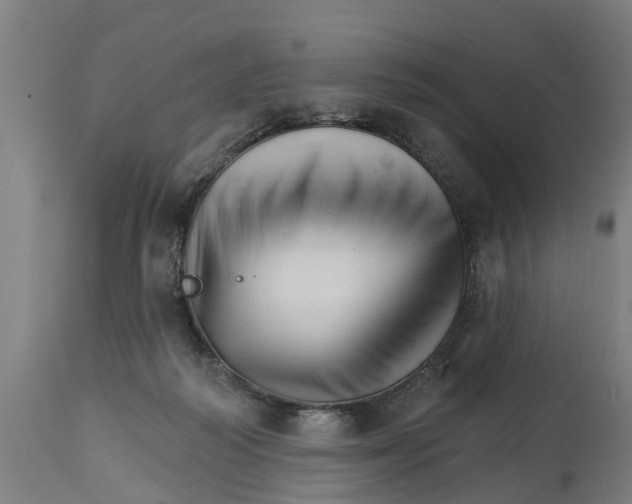 X0000114400218200911131413