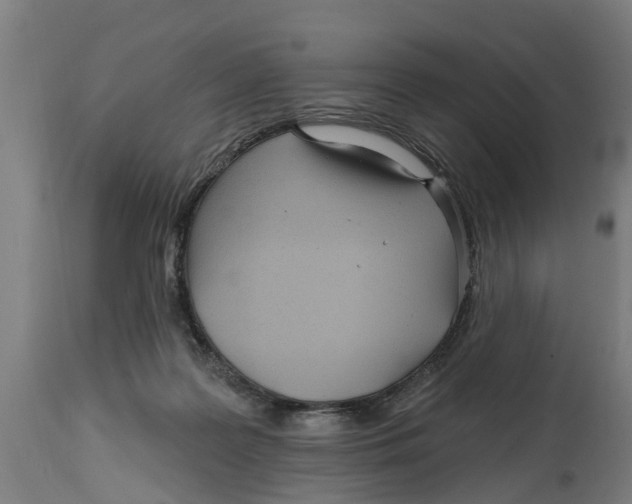 X0000114400219200911131413