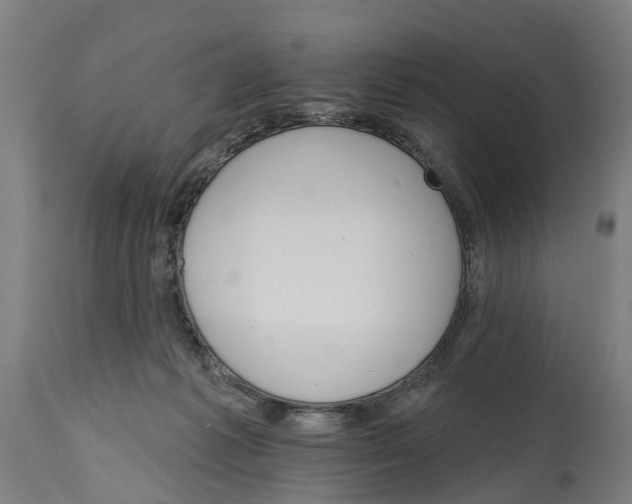 X0000114400221200911131413