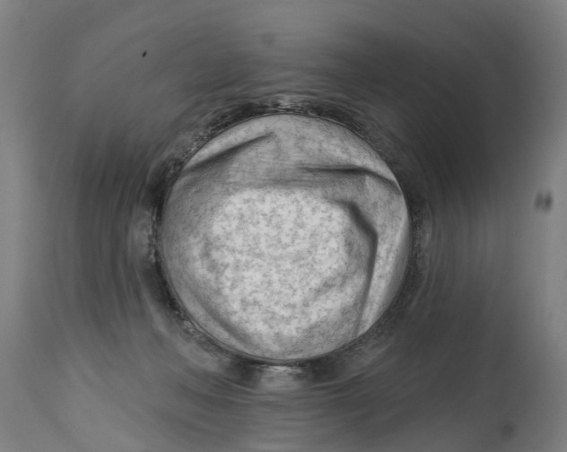 X0000114400222200911131413