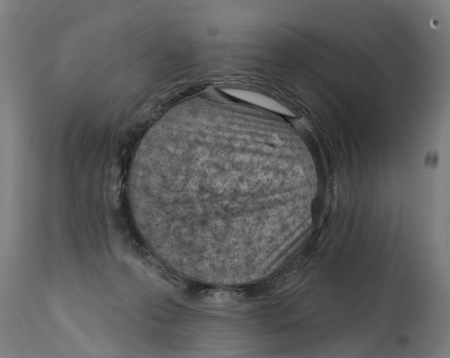 X0000114400223200911131413